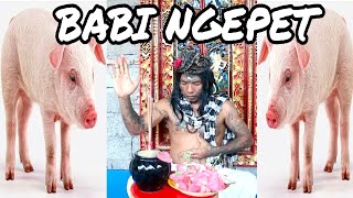 Download lagu PARODY BABI NGEPET‼️video lucu pariz bali