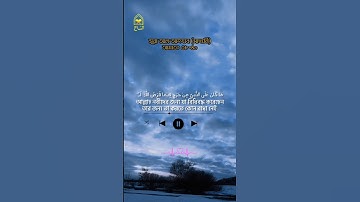 সূরা আল-আহযাব|Surah Al-Ahzab|মাদানি সূরা | আয়াতঃ ৩৮-৪০| سورة الأحزاب |মন খারাপের দিনে তেলোয়াত শুনুন🙂