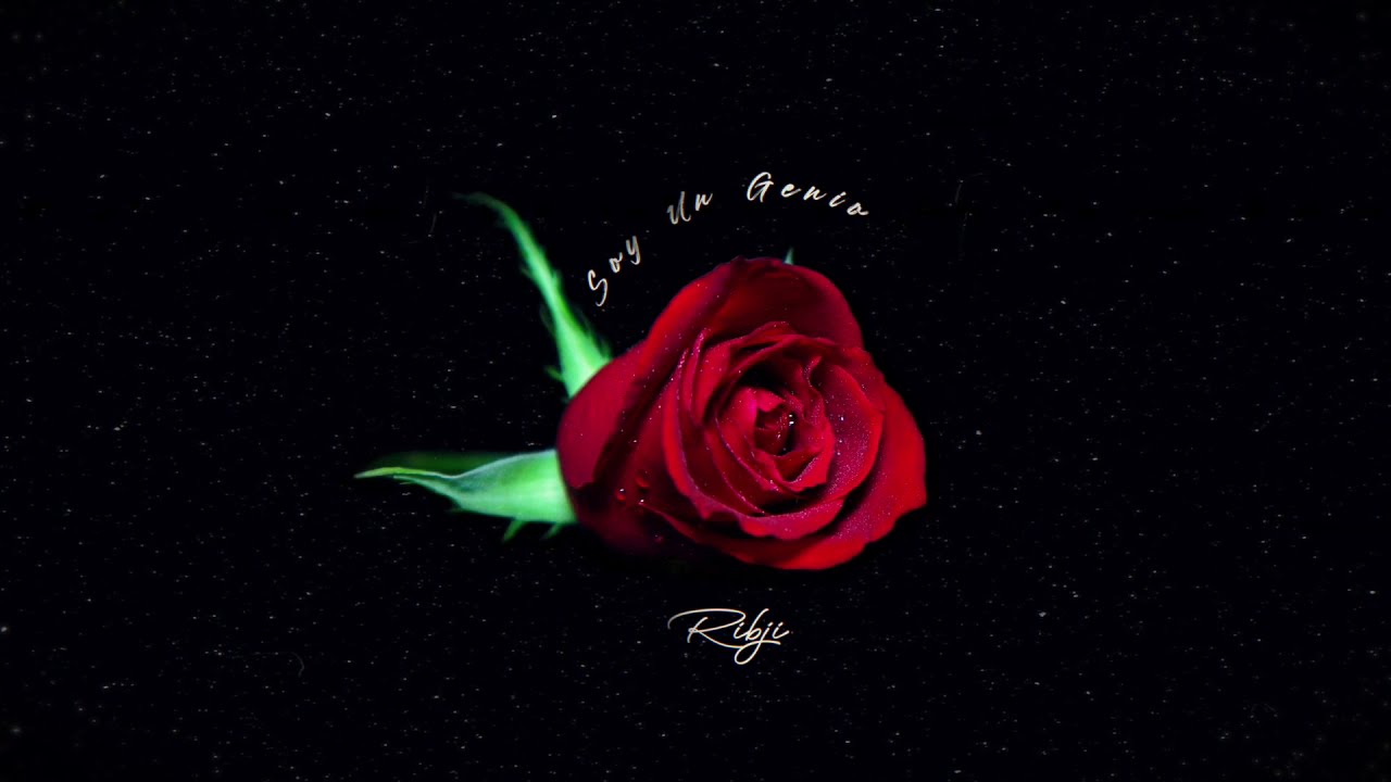 Soy Un Genio (Lyrics)