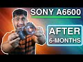 Sony Alpha 6600 Review | After 6 Months | Best Hybrid Camera