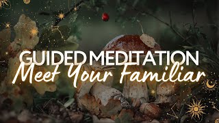 Meet Your Spirit Animal | Guided Meditation for Spirit Animal Familiar Connection Spirit Guides