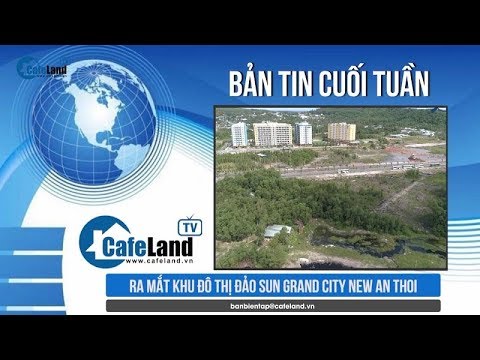 Video BẢN TIN DỰ ÁN TUẦN 3 THÁNG 8 | CAFELAND - youtube