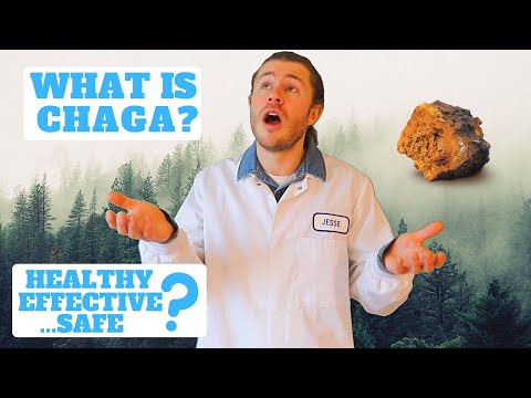 Video: Chaga Helpt Plantenziekten Te Bestrijden