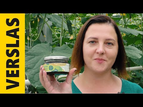 Video: Mano agurkų oda yra kieta: priežastys, kodėl agurkų oda yra per kieta