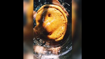 squad game candy ( new viral #squadgame #candy#shorts