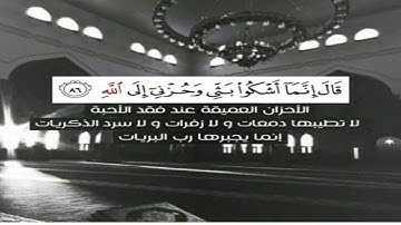 تأمل حزن يعقوب على إبنه تلاوة تبكي القلوب للشيخ خالد الجليل