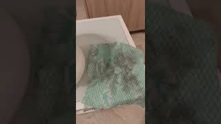 люстра Чижевского, очистка воздуха, протирка корпуса тряпкой,  насыщение отрицательными аэроионами,