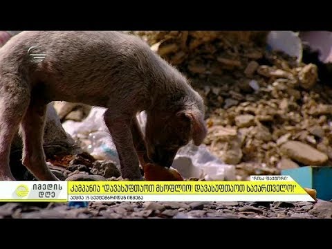 გარემოში გაბნეული საყოფაცხოვრებო და სამშენებლო ნაგავი - რისკ ფაქტორი