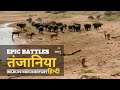 Epic battles  2023    wildlife documentary in hindi
