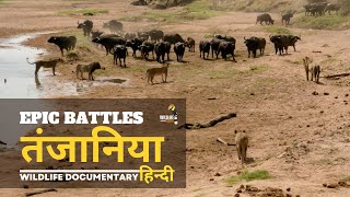 Epic Battles, तंजानिया [2023] हिन्दी डॉक्यूमेंट्री | Wildlife documentary in Hindi by Wildlife Telecast  8,898,603 views 4 months ago 48 minutes