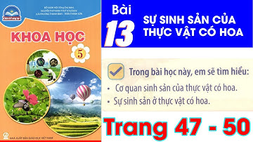 Khoa học lớp 5 chân trời sáng tạo bài 13 - Sự sinh sản của thực vật có hoa