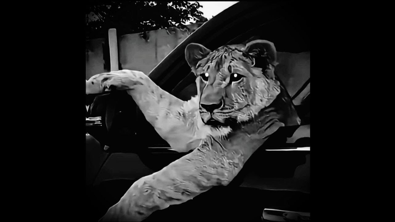 [FREE] TRAP TYPE BEAT | HARD TRAP TYPE BEAT - 