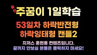 [주꿈이 1일학습] 53day 하락반전형 하락잉태형 캔들2