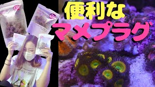サンゴ飼育✨マメデザインのマメプラグが株分けに便利‼️my marine aquarium MOAMOAちゃんねる