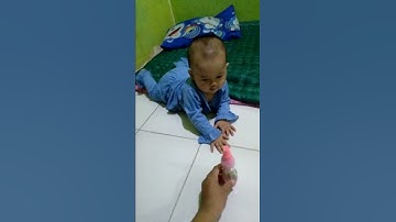 Bayi 6 bulan belajar merangkak
