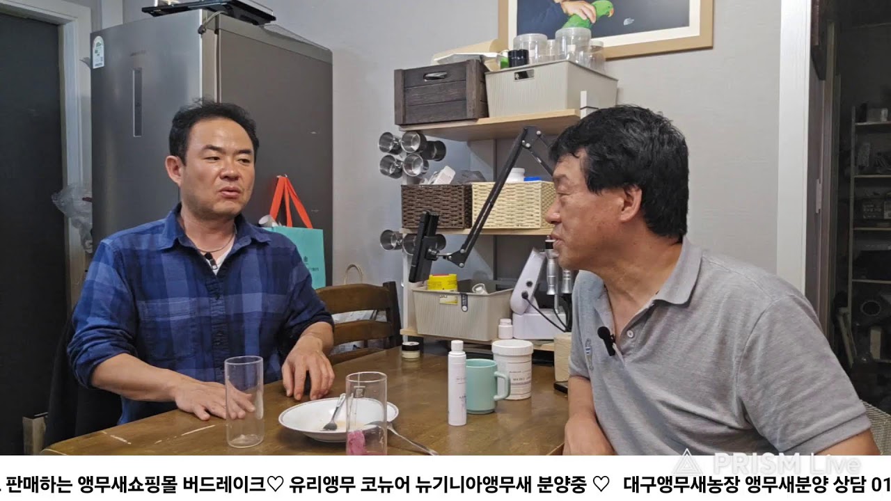 앵무새 오후 이유식먹이기  대구앵무새농장 [ Birdlake ]  실시간라이브 앵무새분양 앵무새행동상담 20260226