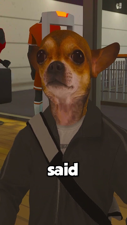 Aiderraider goes to Dick's Sporting Goods
