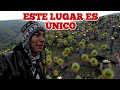 Este lugar parece sacado de una película | Ayacucho Perú