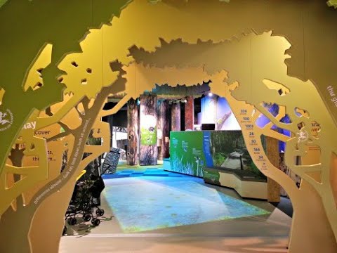 KARAWATHA Forest & Discovery Centre [Brisbane, Australia] - Walking Tour!