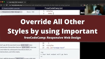Override All Other Styles by using Important (Basic CSS) freeCodeCamp tutorial