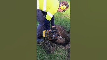 A Tree Stump Removal That