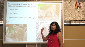 Primate Behavioral Sampling - Primatology Final year lecture  - Prof Chamali Nahallage