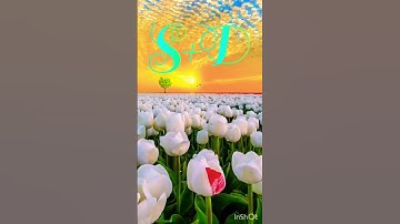 S love D status video #whatsapp_status #name_status_video #nameart #ravindra_ranjan #viral #reels