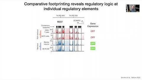 Jeff Vierstra: Footprinting the human genome