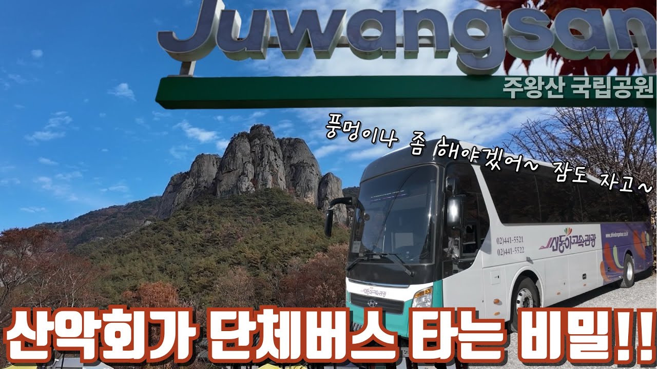 산악회가 단체버스로 이동하는 비밀을 알아냈습니다. 풍멍을 위해~ 잘려고~마실려고 #전세버스 #안전등급 #1등급