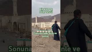 Bi̇r Kalptedört Sevgï