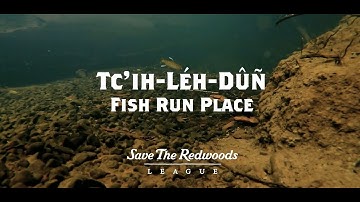 Protecting Tc’ih-Léh-Dûñ (Fish Run Place)