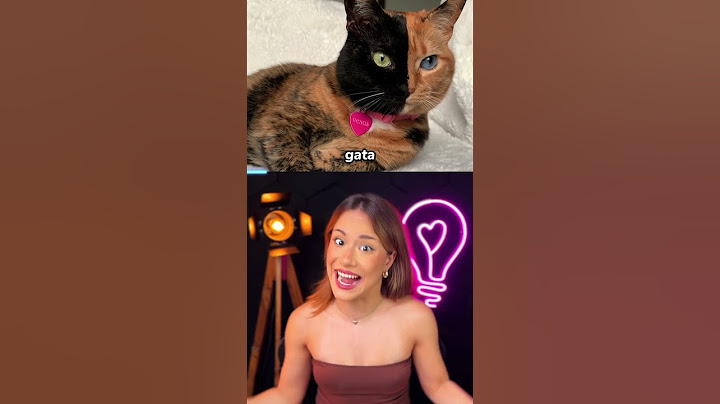 os animais MAIS RAROS