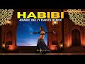 Arabic Belly Dance Remix Party | Arabian Club Dance Music