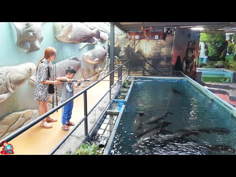 น้องบีม | ให้อาหารปลาช่อนอเมซอน เที่ยวชลบุรี พิพิธภัณฑ์สัตว์แปลก Monsters aquarium pattaya