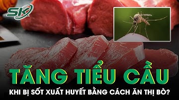 Thực Hư Thông Tin Sốt Xuất Huyết Nên Ăn Thịt Bò, Thịt Gà Để Tăng Tiểu Cầu I SKĐS