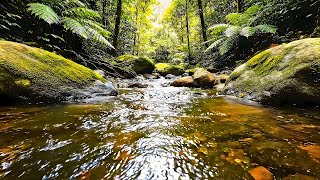 Beautiful Relaxing Music Stress Relief - Soothing Nature to Stop Overthinking & Anxiety 🍃