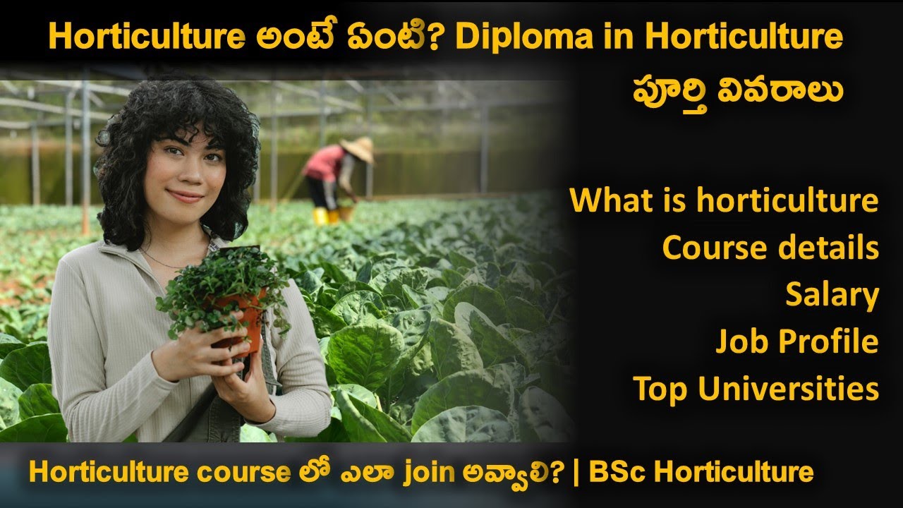 Horticulture course details explained in Telugu BSc Horticulture jobs