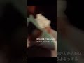 顔イっちゃってるやん #shorts