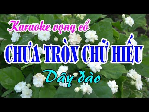 Video Karaoke Vọng cổ: CHƯA TRÒN CHỮ HIẾU - Dây Đào - Tác... - youtube