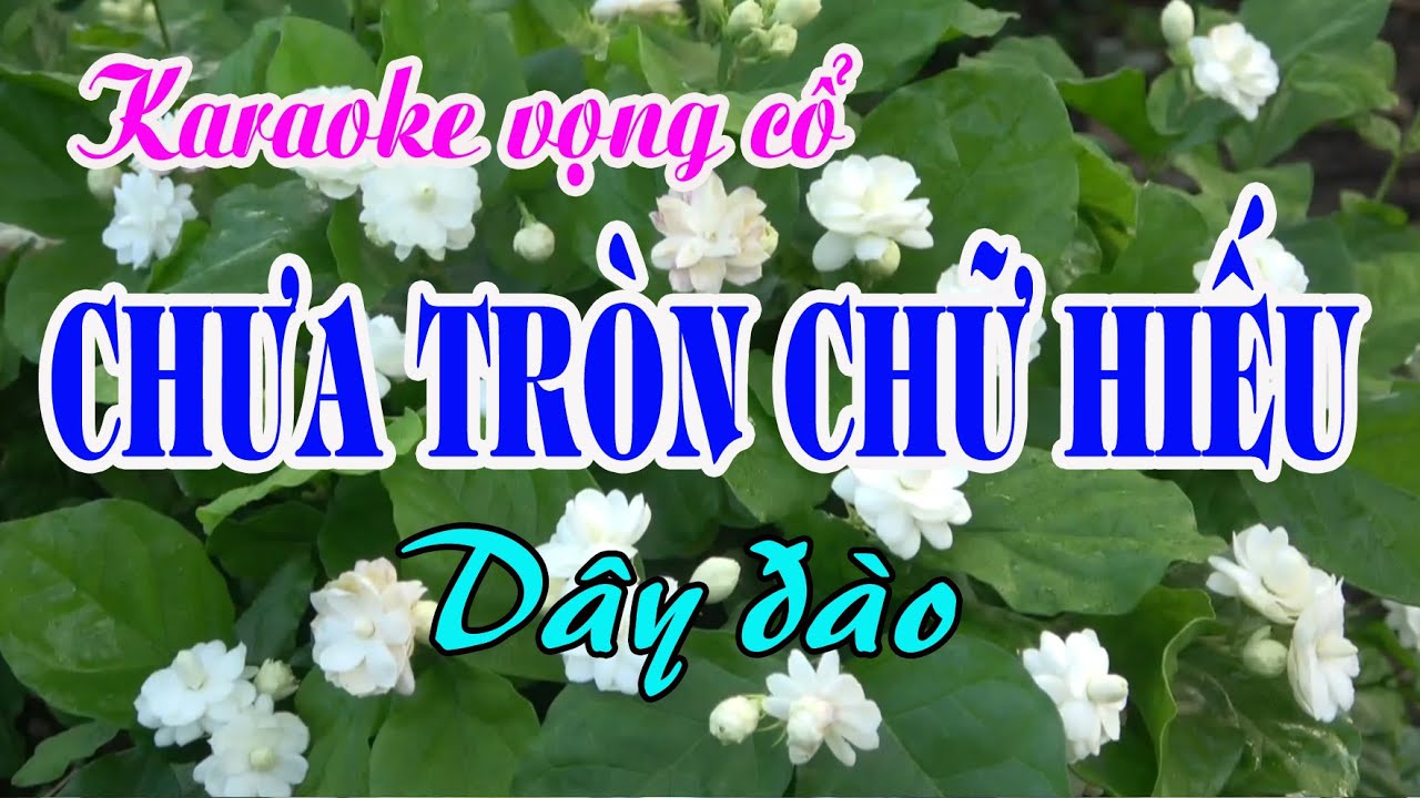Karaoke Tân cổ: CHƯA TRÒN CHỮ HIẾU - Dây Đào - Tác giả: Nguyễn Hữu Nghĩa