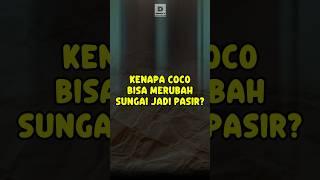 Kenapa Coco Bisa Mengeluarkan Sihir Yang Kuat?