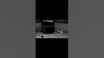 آيات من سورة القصص القارئ الشيخ ياسر الدوسري