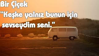 Cemal Süreya | Bir Çiçek ' Keşke yalnız bunun için sevseydim seni '