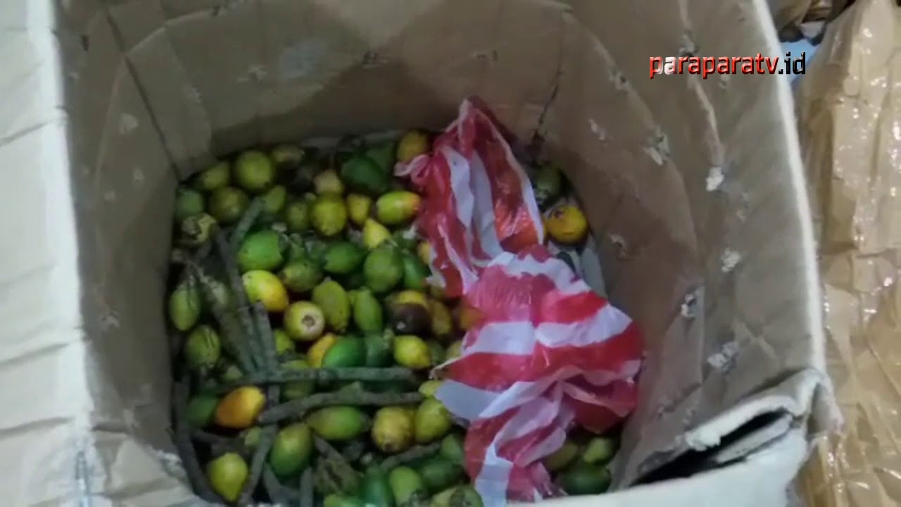 Pelaku Dan Barang Bukti Ganja 6,8 Kilogram Diamankan Polisi