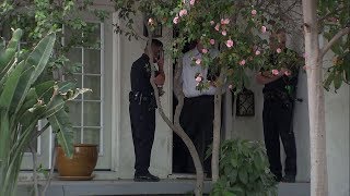 Dog mauls infant in sherman oaks | abc7 ...