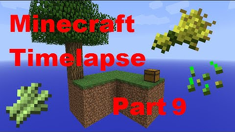 Sugar Cane And Wheat Farm!! - Minecraft - Timelapse - Skyblock - Part 9