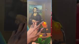 Comment If You Have My Back