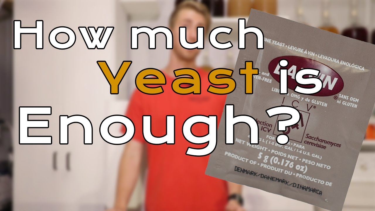 Wine/Mead Making: How Much Yeast Is Enough?