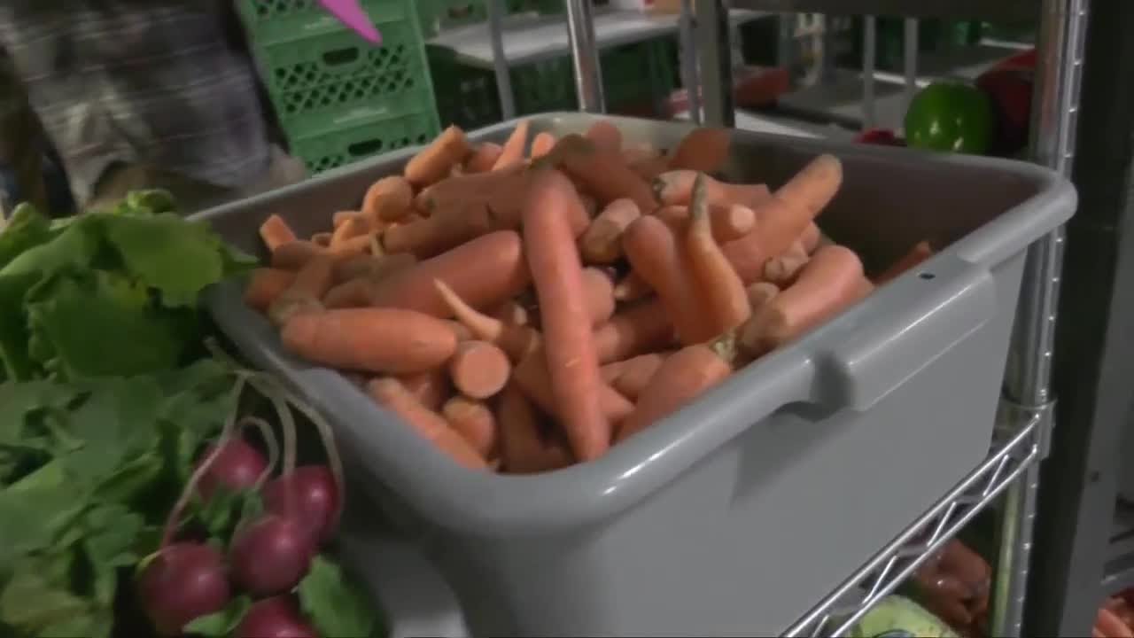 Strike Farms owner speaks out after longtime CSA farm halts business ...