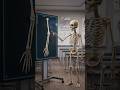 Forelimb Bone Anatomy Explained in 3D | Complete Breakdown #anatomy #viral